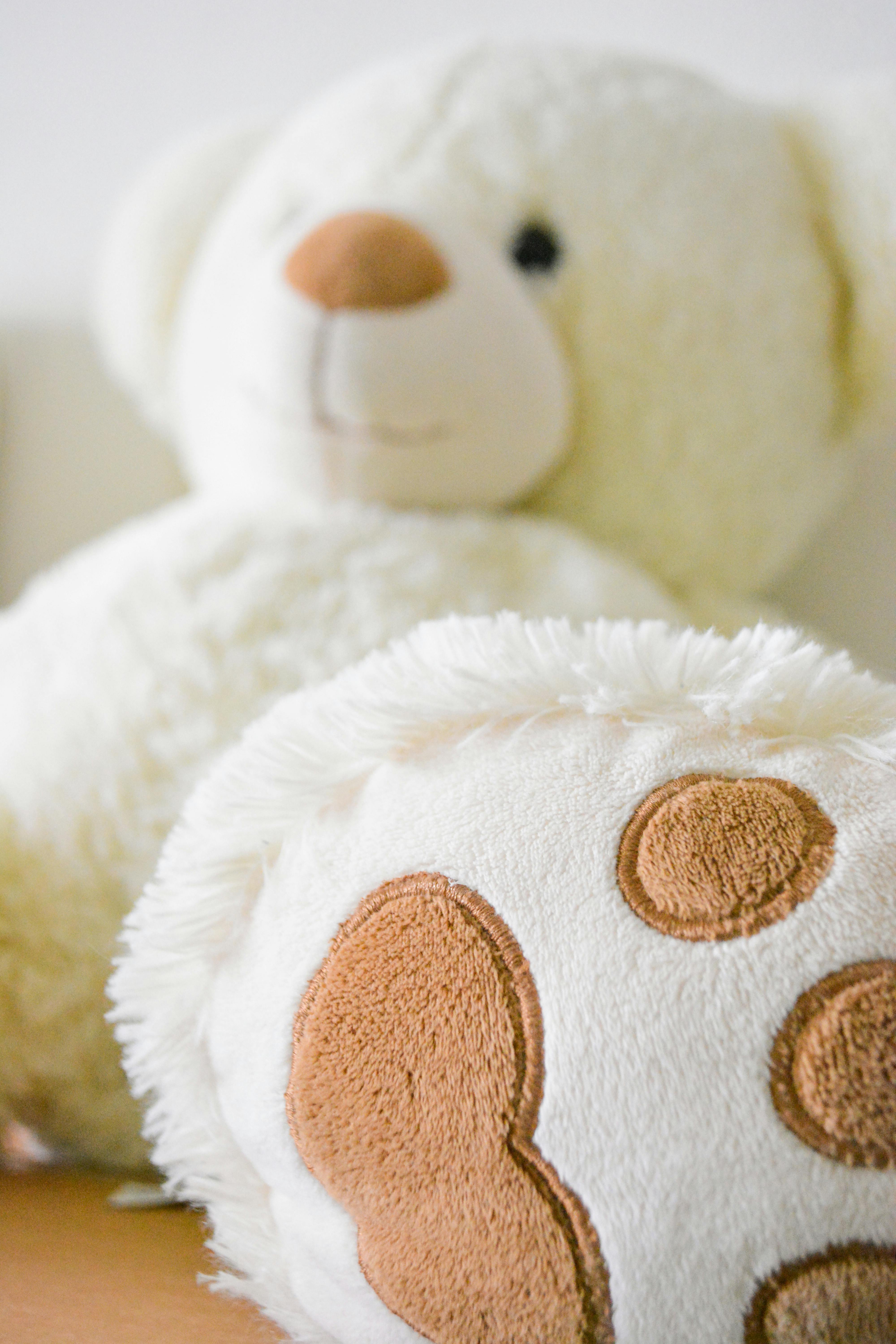 Heartbeat teddy bear